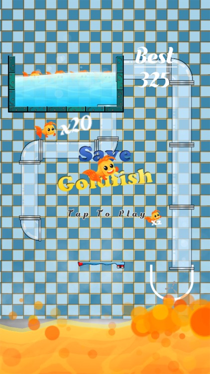 Save your Goldfish