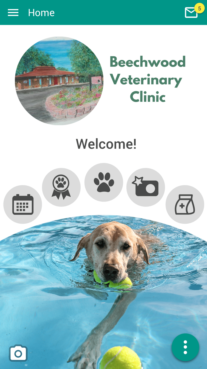 Beechwood Vet Clinic