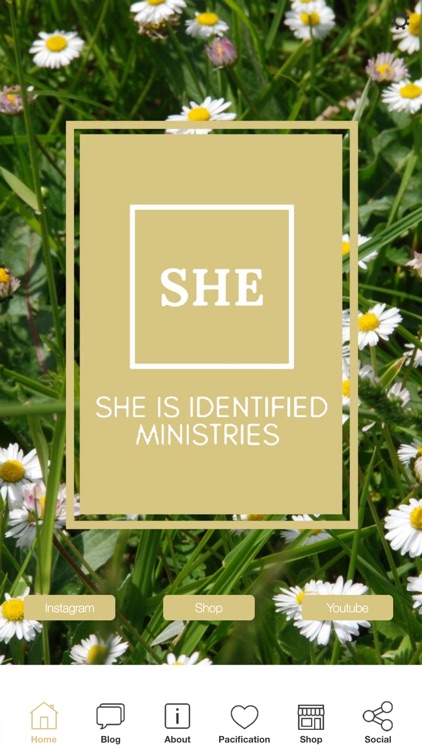 SHE IS Identified Ministries