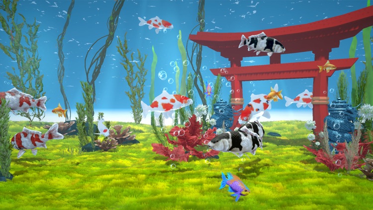 Mini Aquarium - Fish Tank screenshot-3