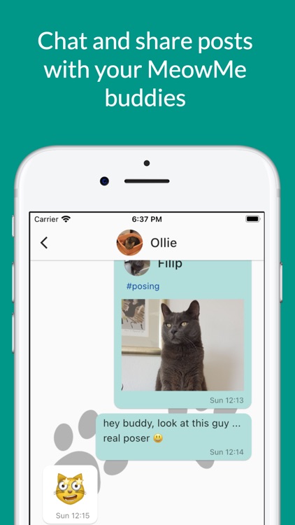 MeowMe - Cat Social Network screenshot-3