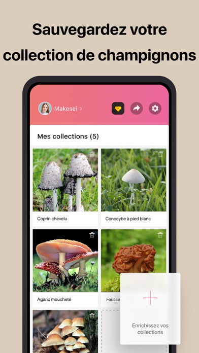 Picture Mushroom - Mushroom ID Picture Mushroom - Mushroom ID