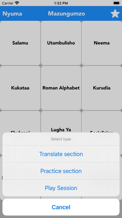 Swahili to English Translator screenshot-3