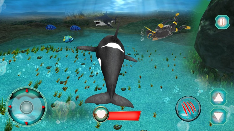 Angry Shark Attack : Sim 2018 screenshot-4