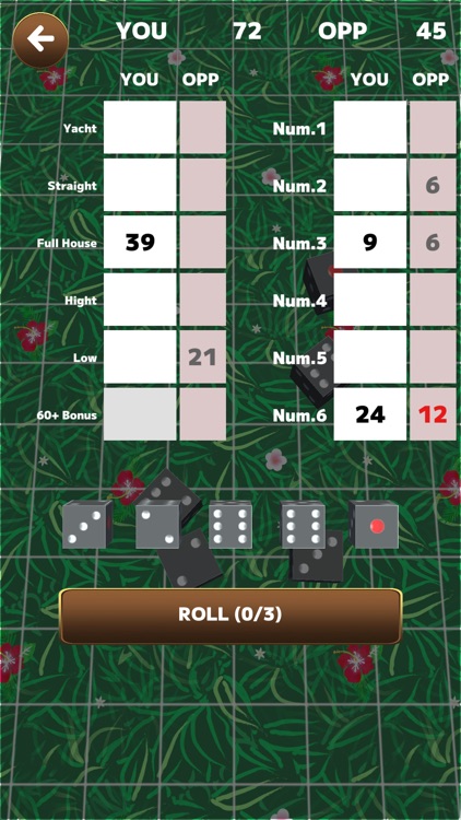 Yam :Dice Game screenshot-3