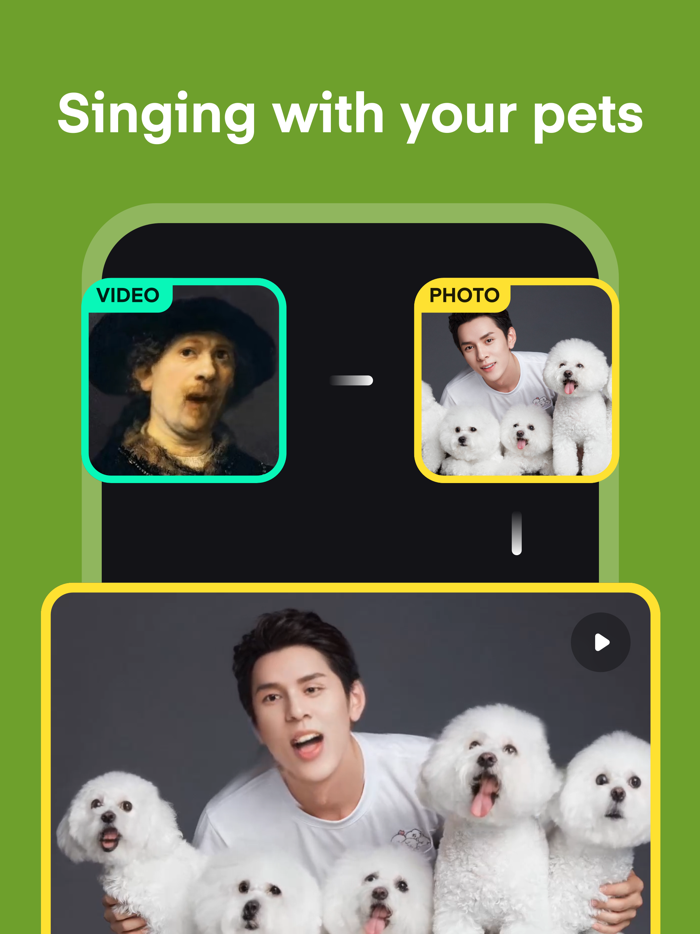 VidAvatar-AI Face Animator