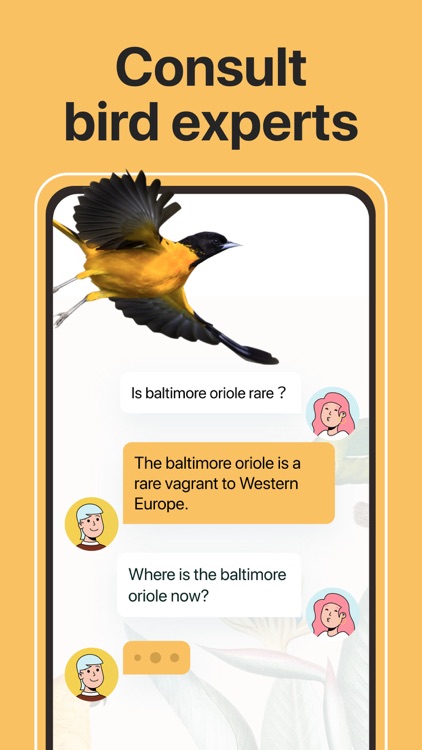 Picture Bird: Birds Identifier screenshot-5
