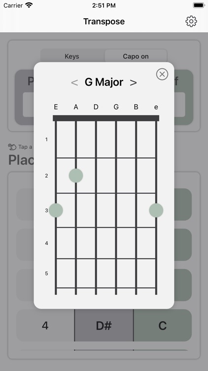 Chord Transpose screenshot-3