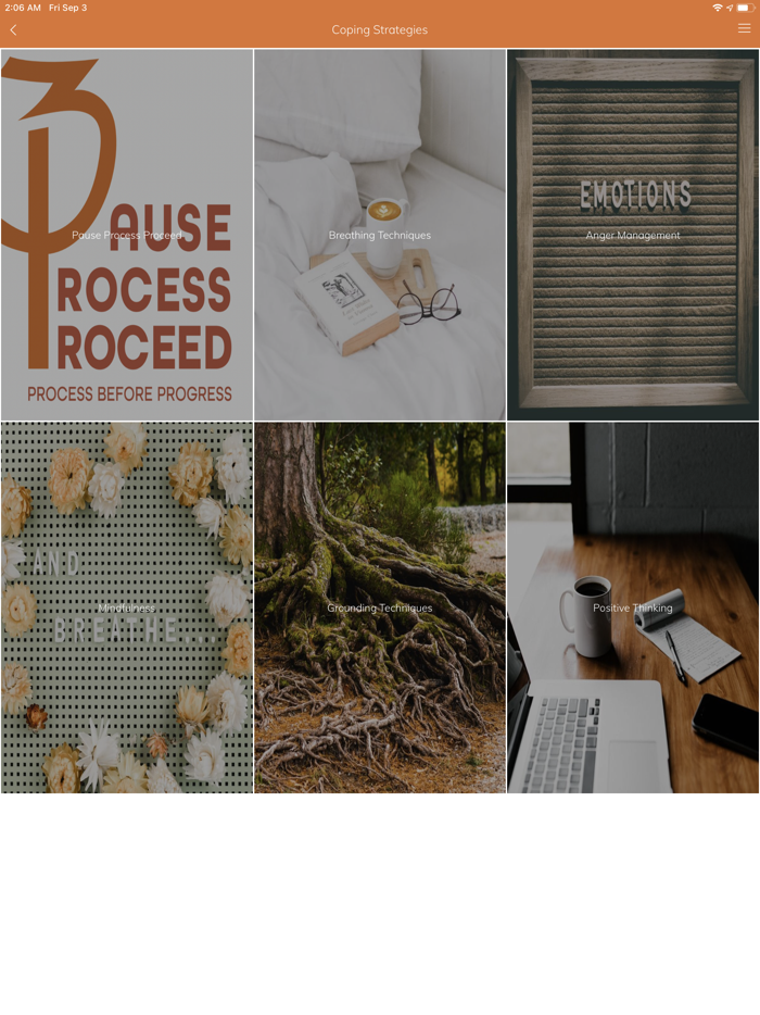 Pause Process Proceed