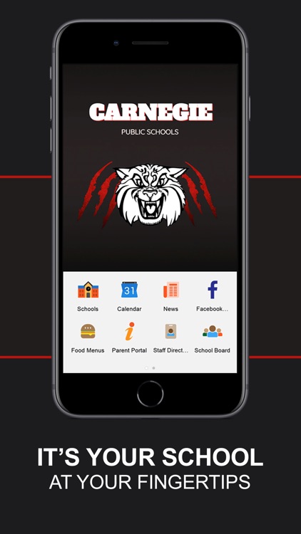 Carnegie School District