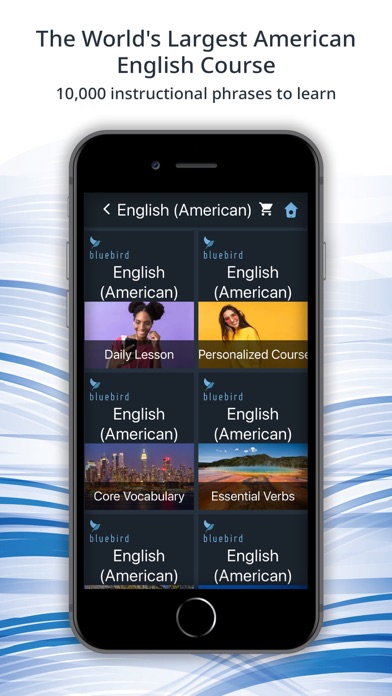 Bluebird: Learn US English Screenshot