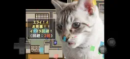 Game screenshot 猫飼いシミュレーション apk