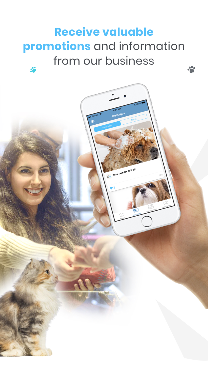 Foxy Roxys Doggy Dayout