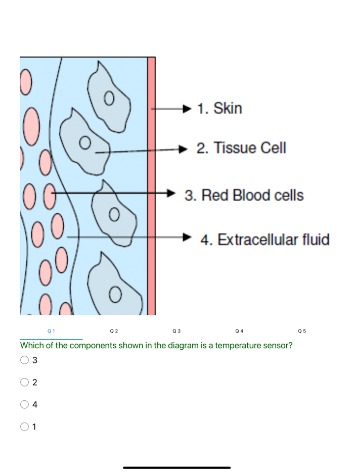 GAMSAT Gameplan MCQs