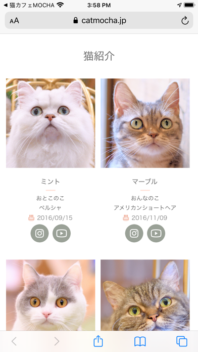 猫カフェmocha モカ 公式アプリ Iphoneアプリ Applion