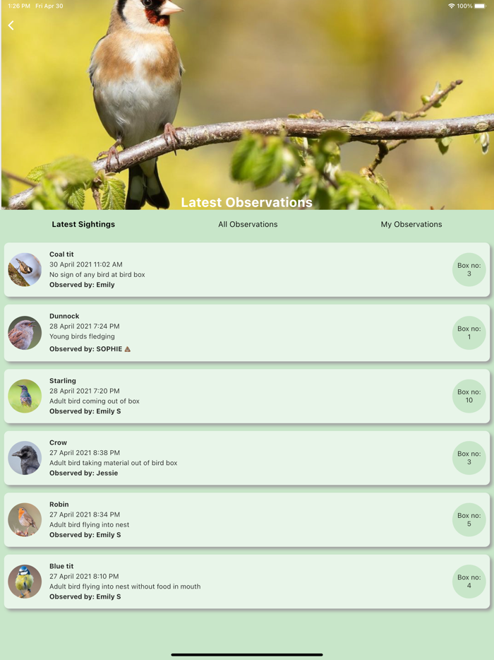 Redland Green Bird Box Survey