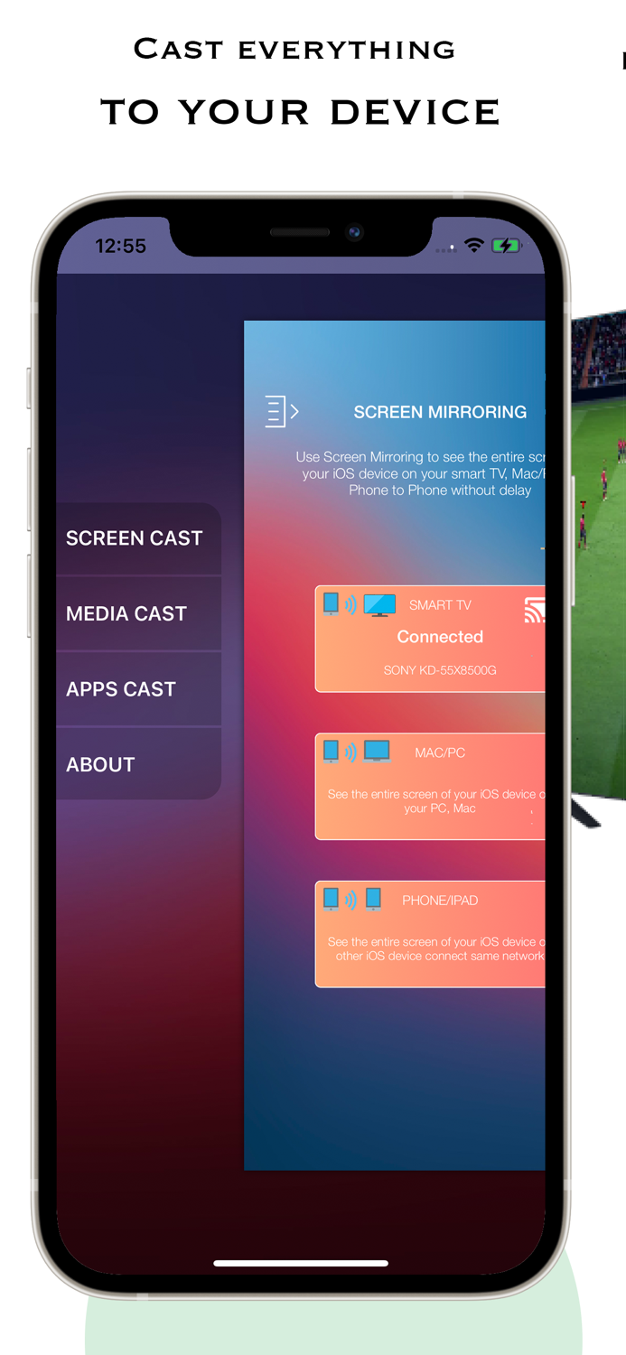 AllShare Cast Smart View