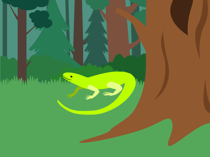 Forest Camp. Tourist vacation