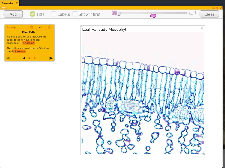 Science SuperLab for Classroom screenshot-8