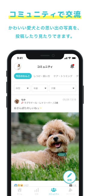 Onedog 愛犬 ペットのお散歩 健康管理アプリ をapp Storeで