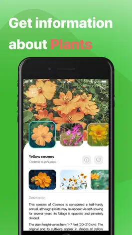 Game screenshot Plant, Flower, Weed Identifier apk