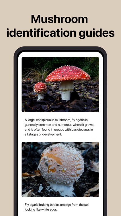 Picture Mushroom - Mushroom ID screenshot-3