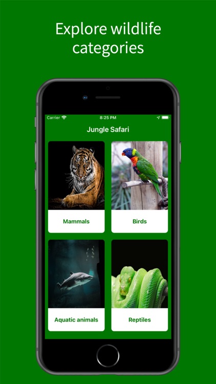 Virtual Jungle Safari