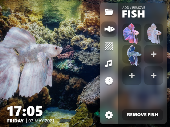 Betta Fish - Virtual Aquarium Screenshots