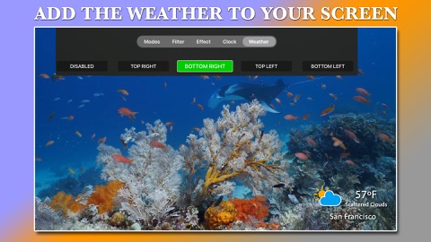 Screenshot #6 for Aquarium TV Screen