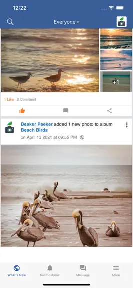 Game screenshot Beaker Peeker apk