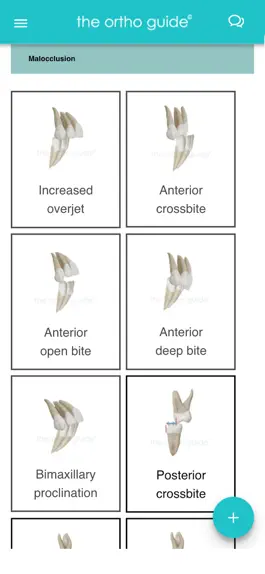 Game screenshot The Ortho Guide apk