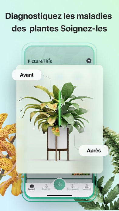 PictureThis-Identifier Plantes PictureThis-Identifier Plantes