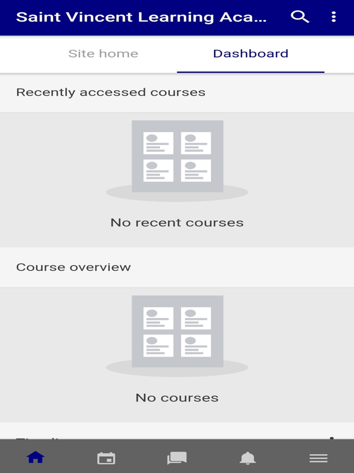 Saint Vincent Learning Academy