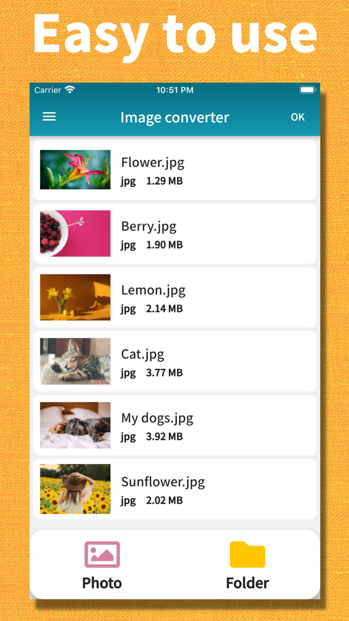 Image batch converter