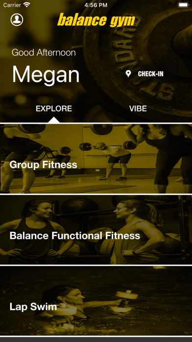 Balance Gym Mobile screenshot 2