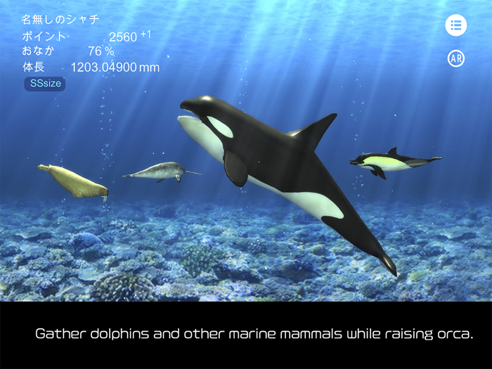 Orca  and marine mammals