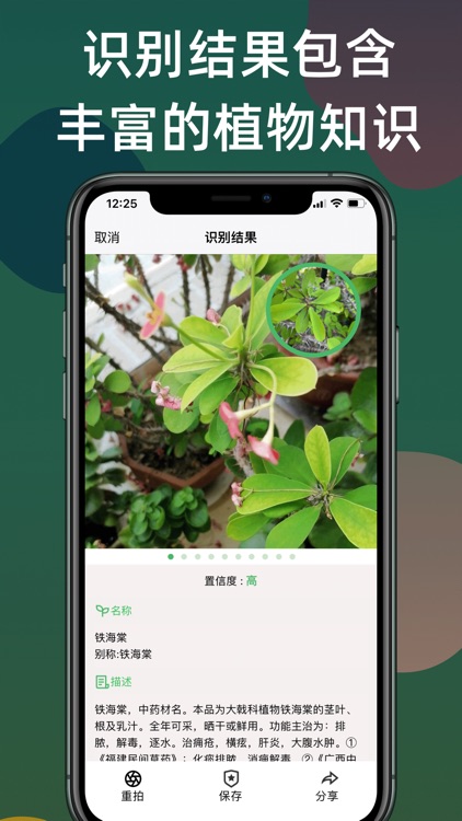 Ai识植-拍照识别花草树木