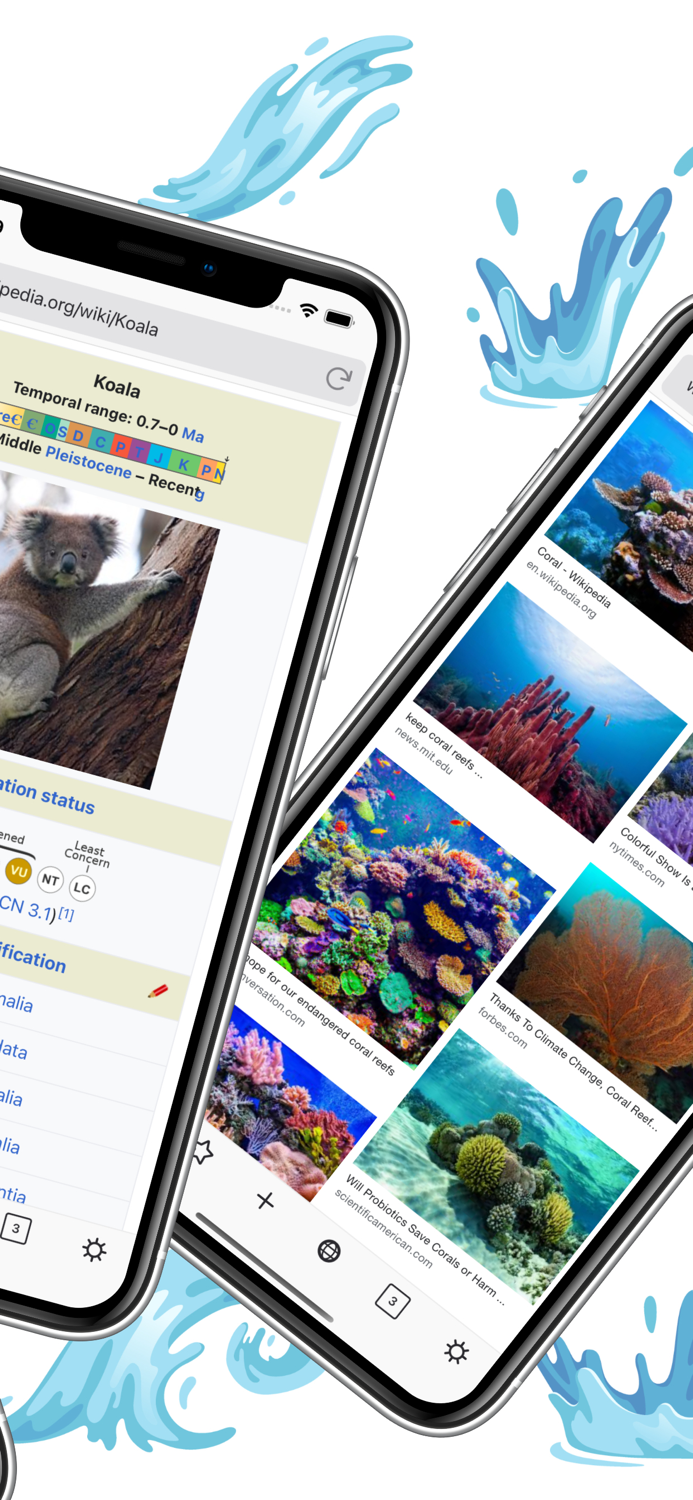Koala Surf Web Browser
