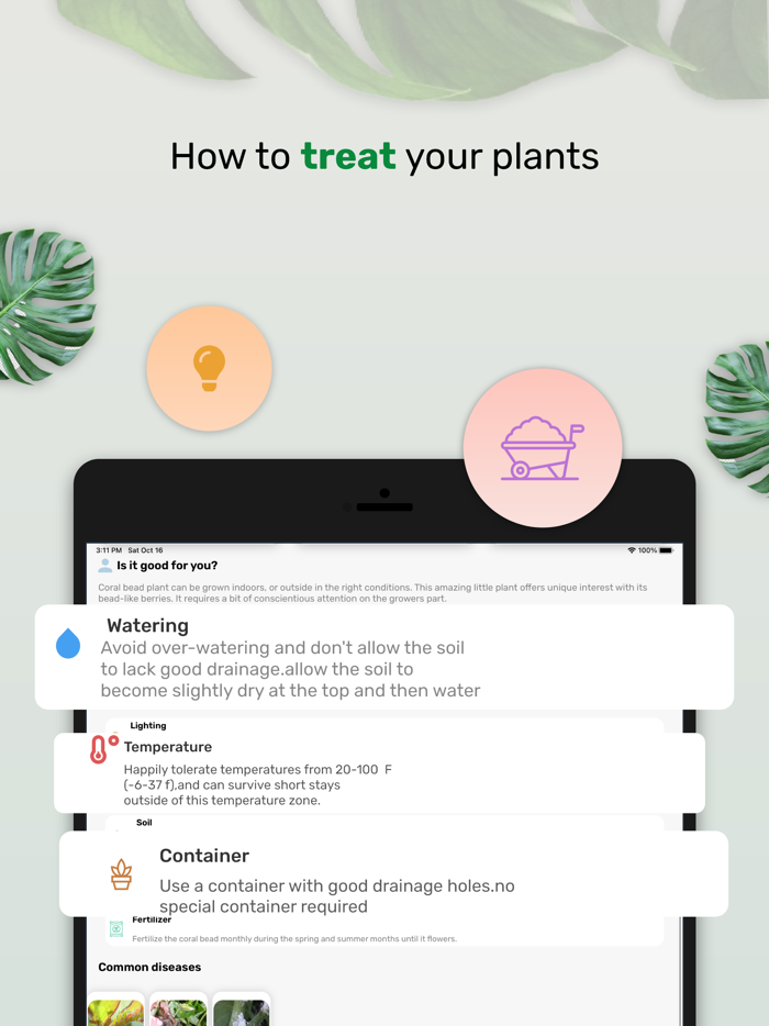 Plantinapp  Plant Identifier
