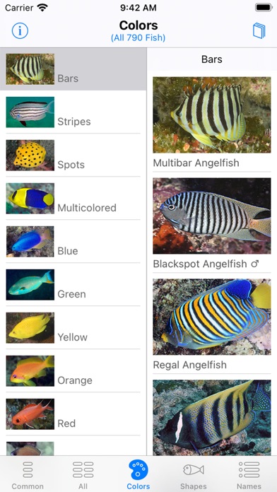 Solomon Islands Fish ID screenshot 4