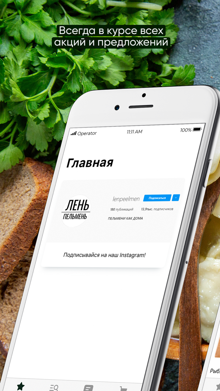 Лень Пельмень