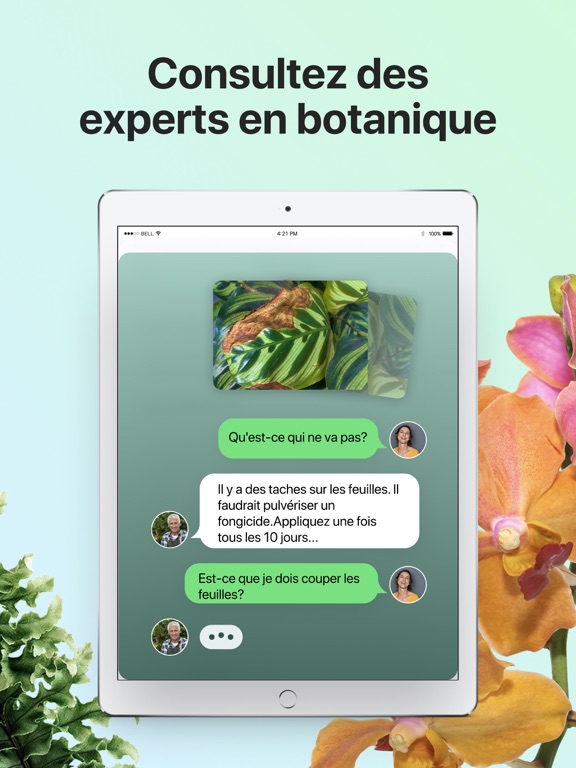 PictureThis-Identifier Plantes PictureThis-Identifier Plantes