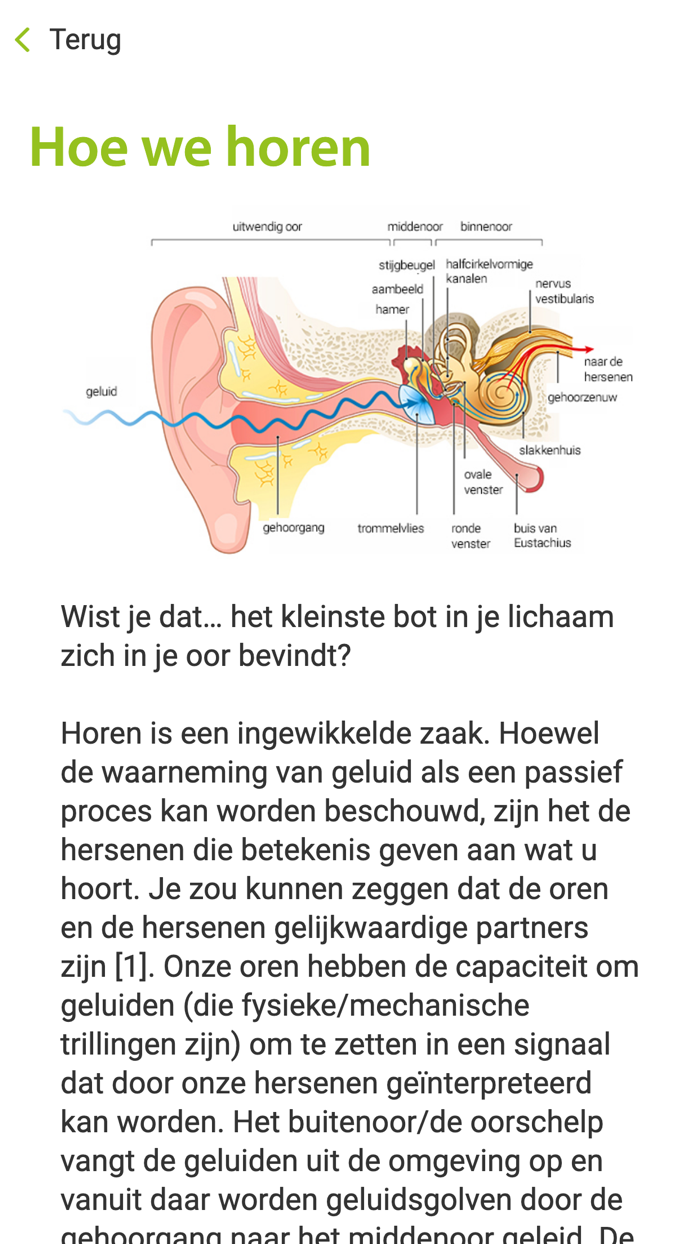Schoonenberg Hersengymnastiek