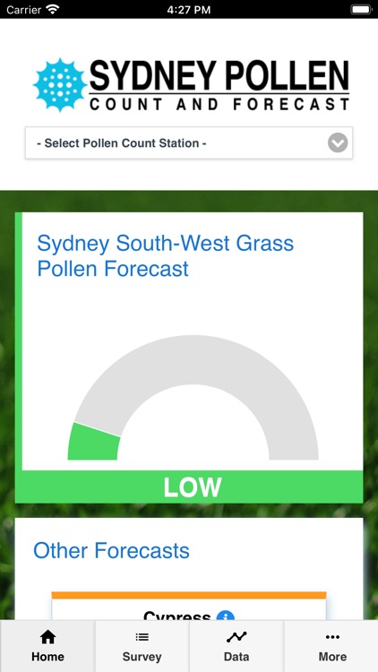 Sydney Pollen Count & Forecast