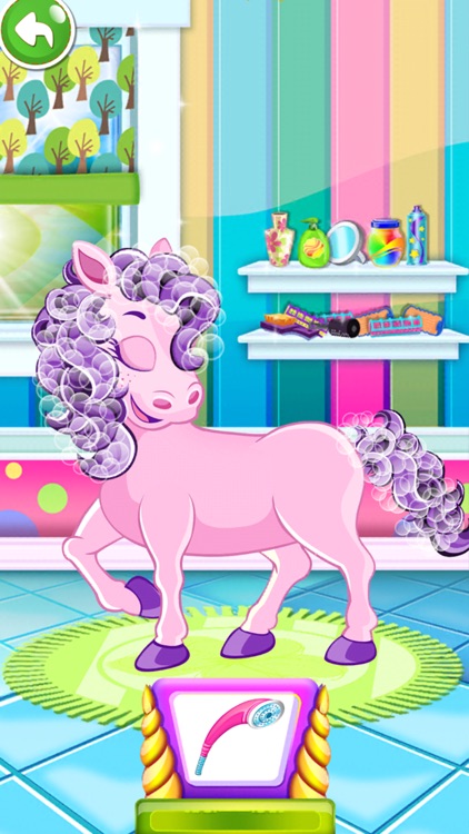 Horse Pet Salon & Coloring