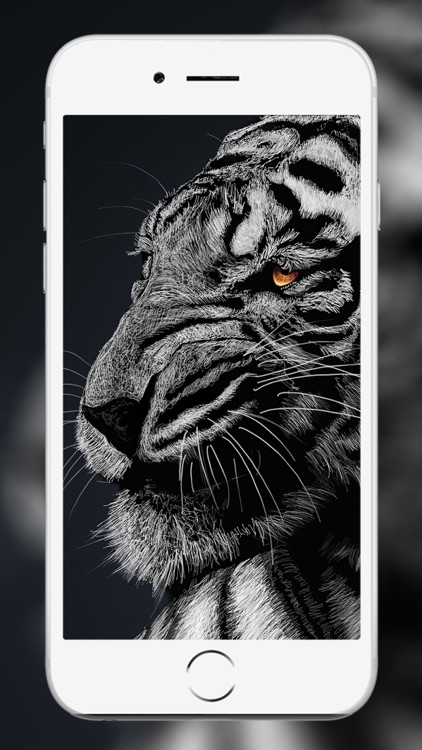 Lion Wallpaper and backgrounds screenshot-6