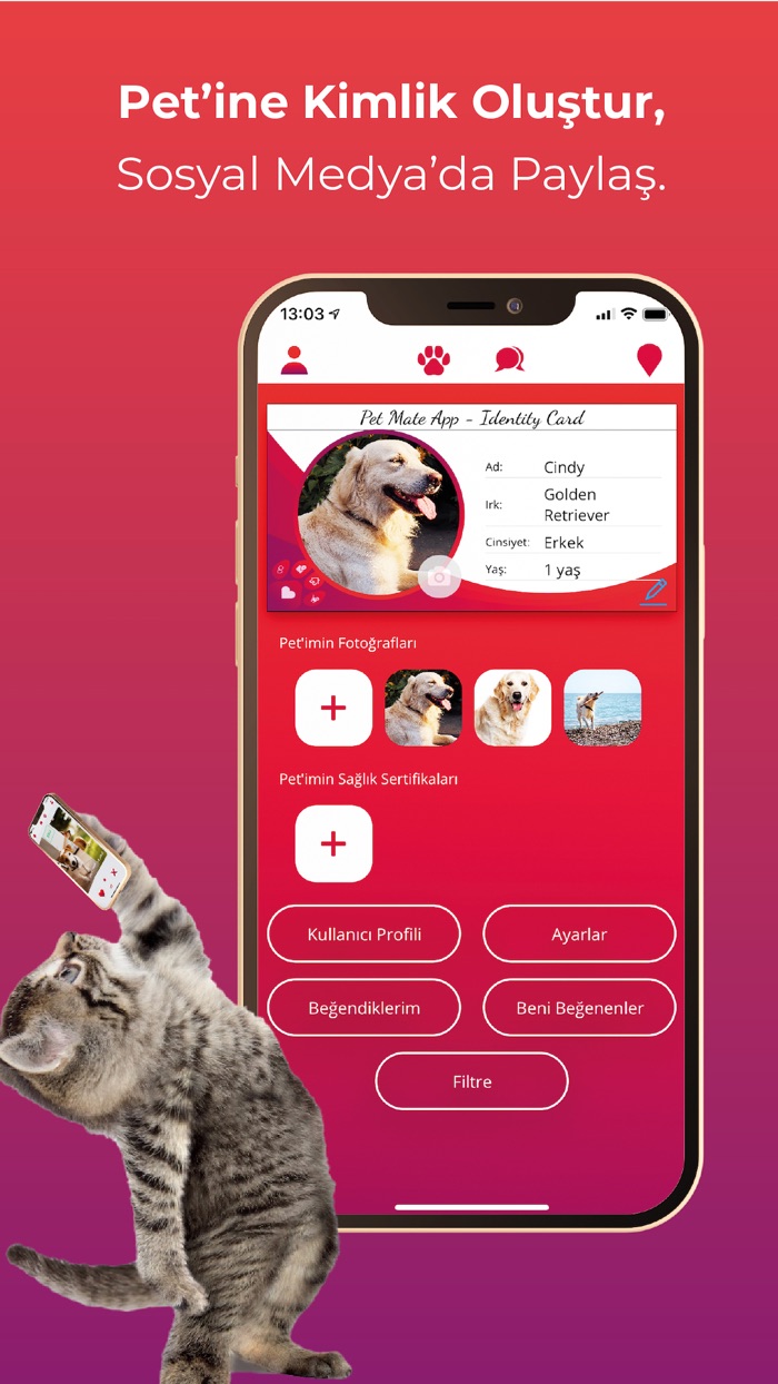 Pet Mate Date  Meet for Pets