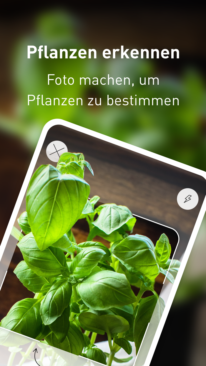 Plantura Pflanzen erkennen