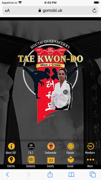 SQ Tae Kwon-do screenshot-4