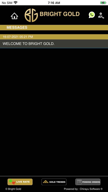 Bright Gold screenshot-4